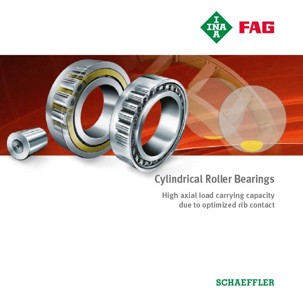Cylindrical Roller Bearings Schaeffler Group USA Inc