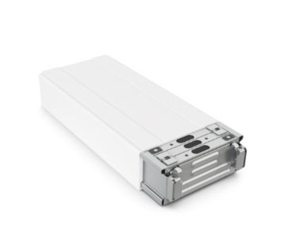 Conventional Battery Module